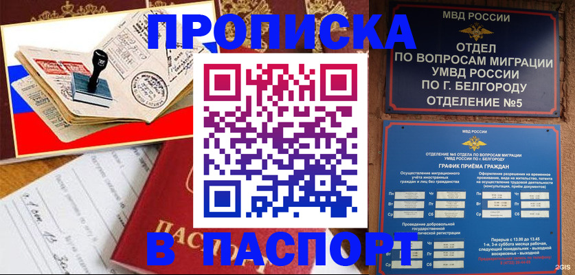 временная регистрация для всех в Новоалтайске